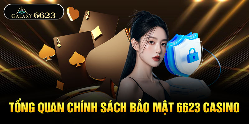 Tổng quan chính sách bảo mật 6623 casino Tổng quan chính sách bảo mật 6623 casino