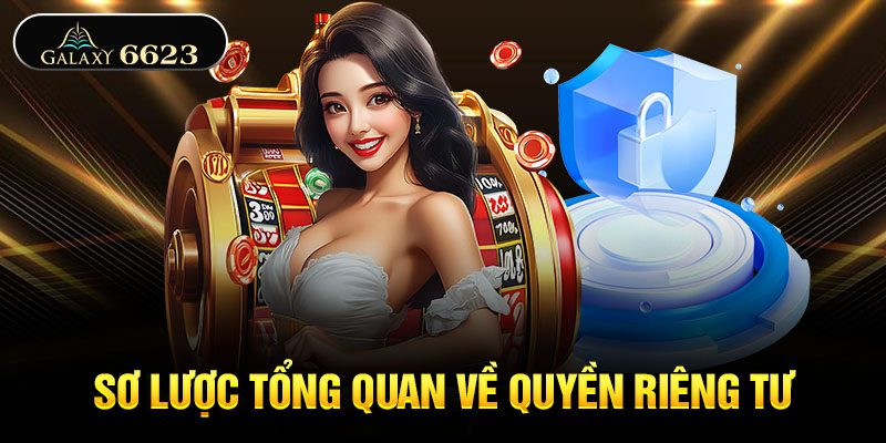 Sơ lược tổng quan về quyền riêng tư Sơ lược tổng quan về quyền riêng tư