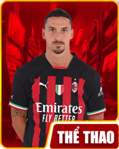 the-thao-6623-239x300