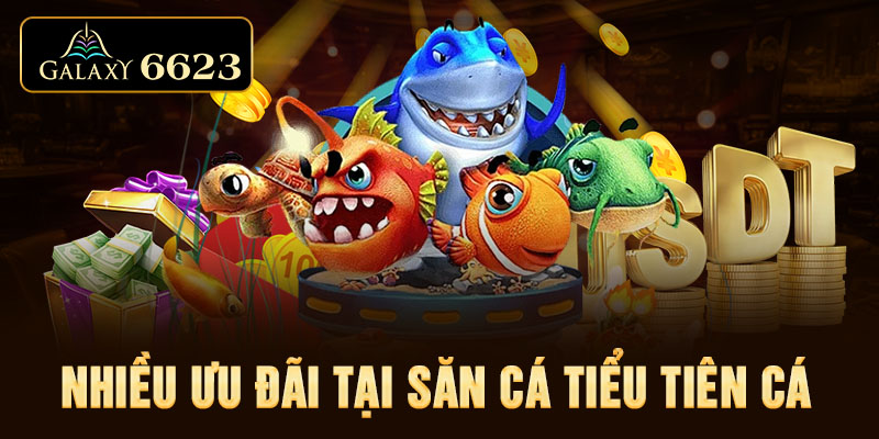 Nhiều ưu đãi tại săn cá Tiểu Tiên Cá