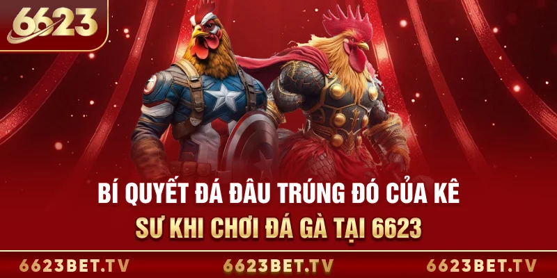 Đá Gà 6623 Bí quyết đá đâu trúng đó của kê sư khi chơi đá gà tại 6623