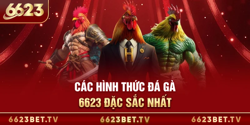 Đá Gà 6623 Các hình thức đá gà 6623 đặc sắc nhất