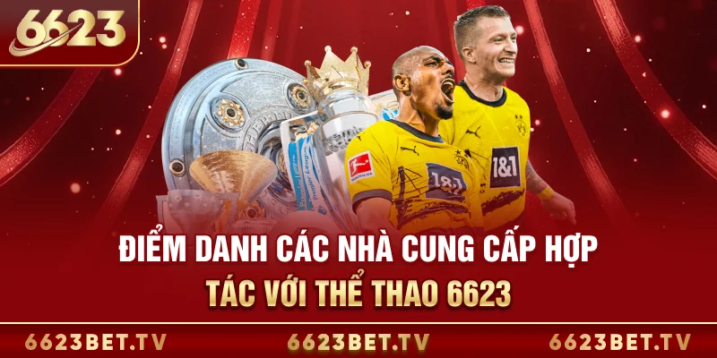 Thể Thao 6623 Điểm danh các nhà cung cấp hợp tác với Thể Thao 6623