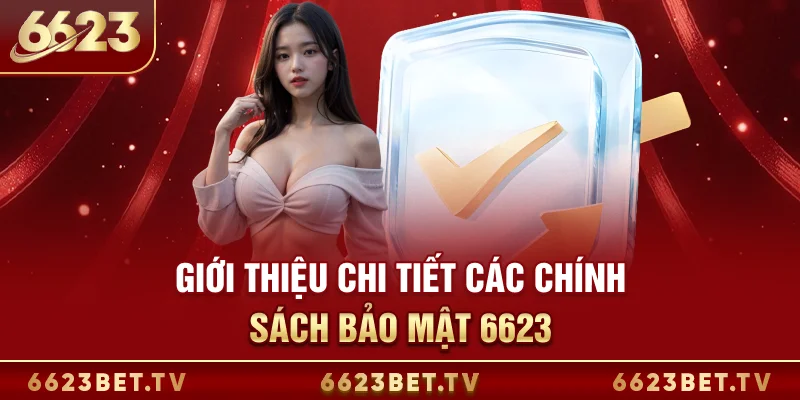 Chính sách bảo mật 6623 Giới thiệu chi tiết các chính sách bảo mật 6623