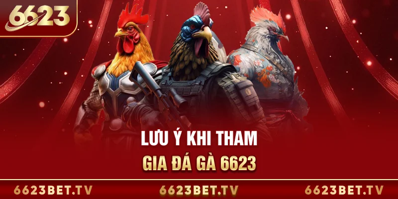 Đá Gà 6623 Lưu ý khi tham gia đá gà 6623