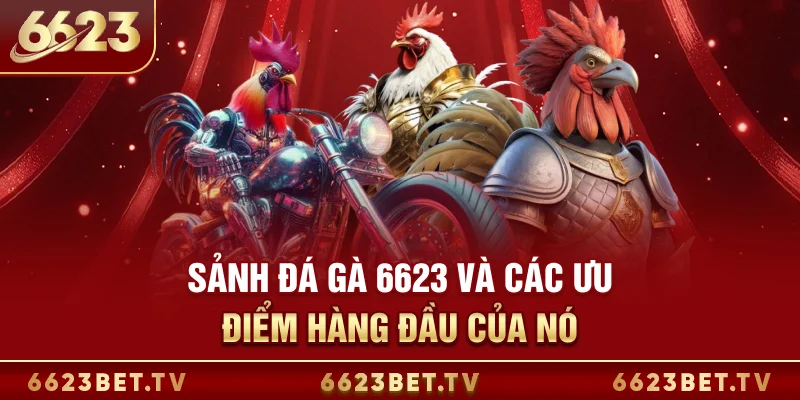Đá Gà 6623 Sảnh đá gà 6623 và các ưu điểm hàng đầu của nó