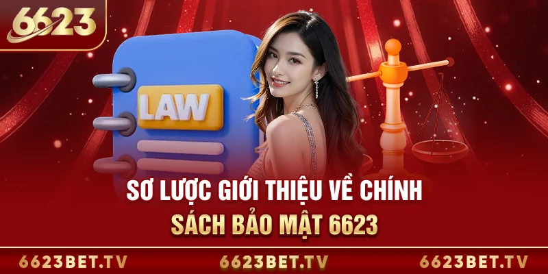 Chính sách bảo mật 6623 Sơ lược giới thiệu về chính sách bảo mật 6623